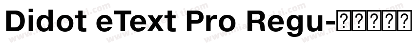 Didot eText Pro Regu字体转换